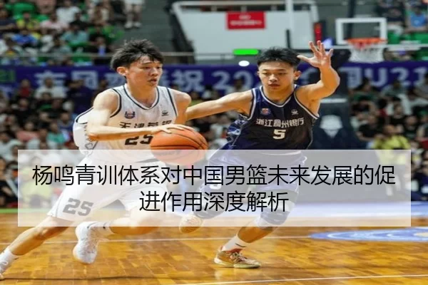 杨鸣青训体系对中国男篮未来发展的促进作用深度解析