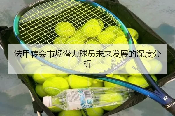 法甲转会市场潜力球员未来发展的深度分析